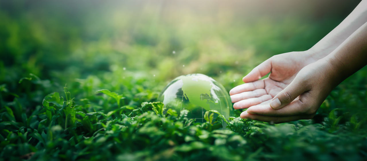 Compromiso de Bi Bank con la sostenibilidad en Panamá: trabajando juntos hacia un futuro más verde